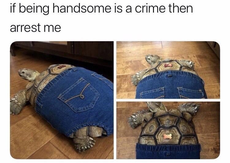 if-being-handsome-is-crime-then-arrest