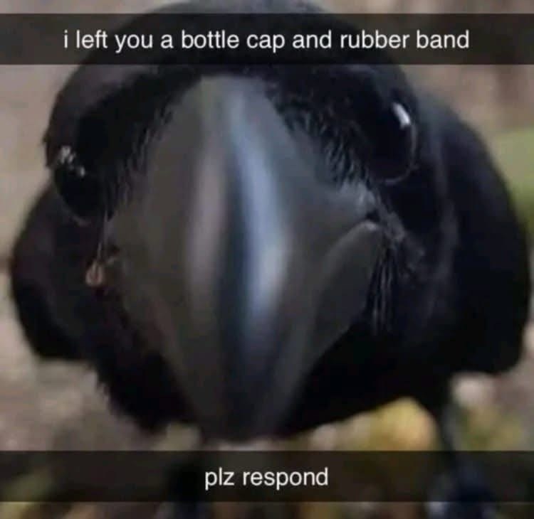 left-bottle-cap-and-rubber-band-plz-respond