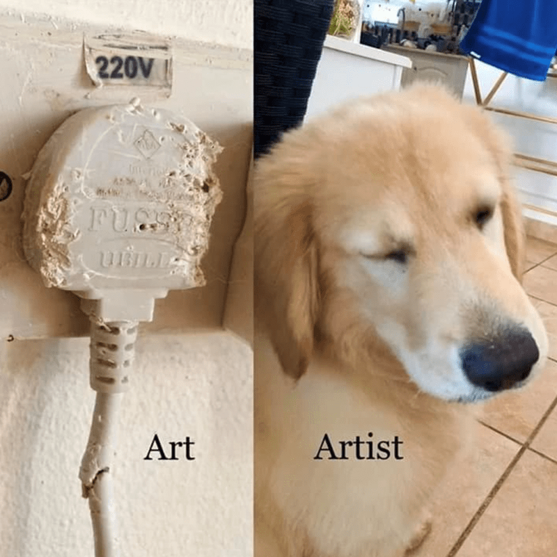 220v-fug-ubill-art-artist