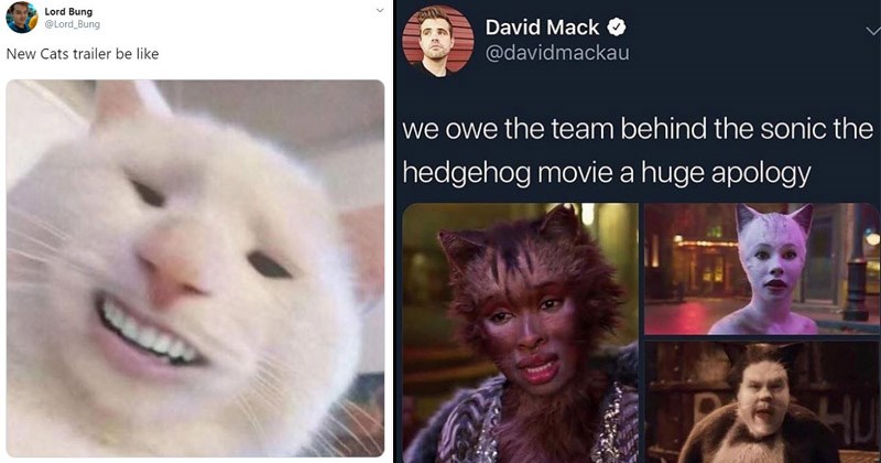 funny-reaction-memes-to-the-new-cats-trailer