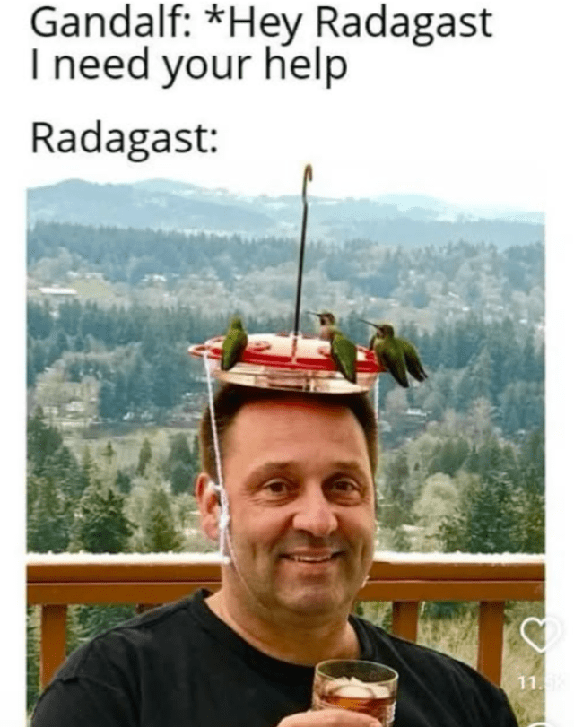 gandalf-hey-radagast-need-help-radagast-11
