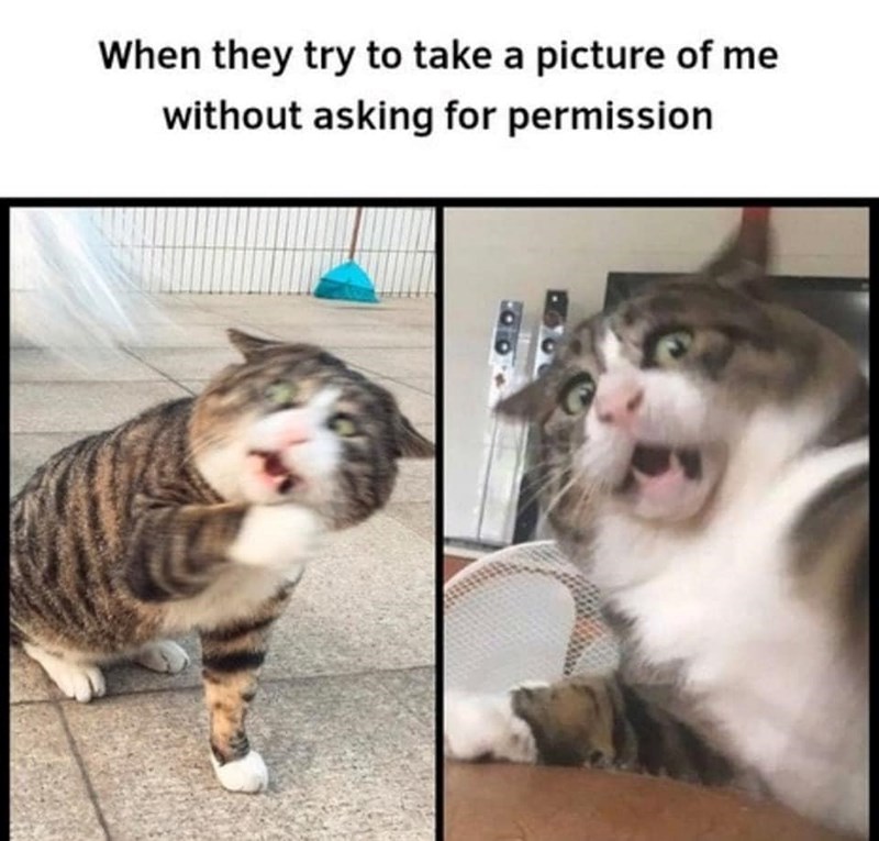 they-try-take-picture-without-asking-permission