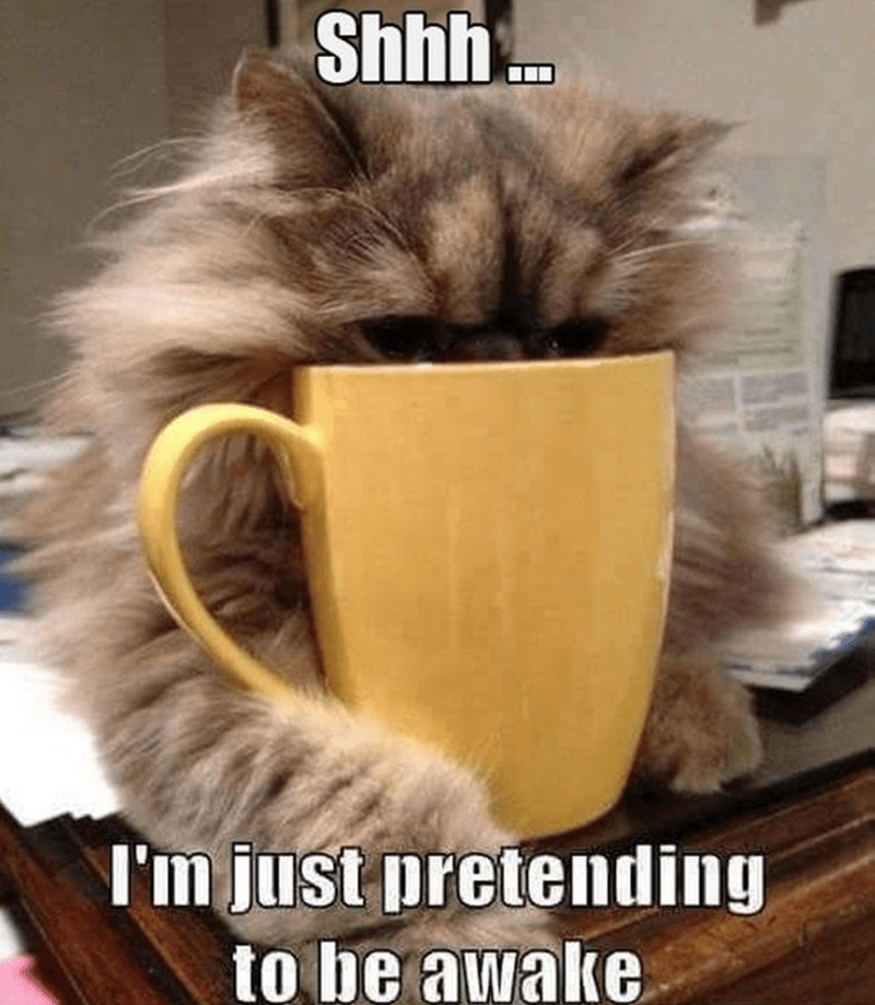 shhh-just-pretending-be-awake