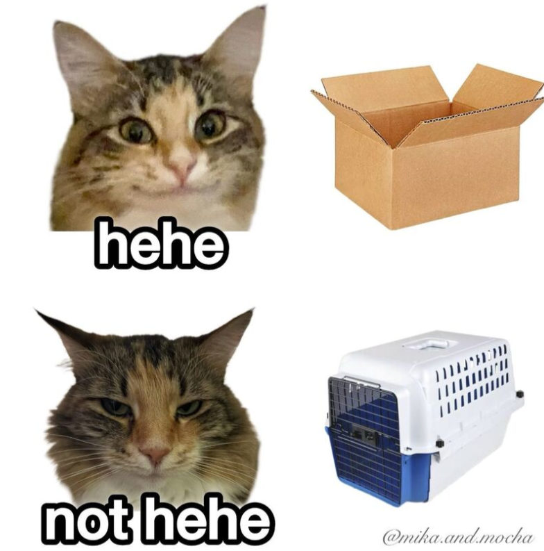 hehe-not-hehe-mikaandmocha