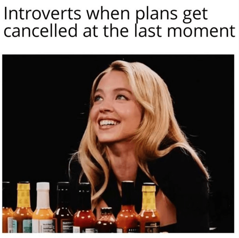 introverts-plans-get-cancelled-at-last-moment