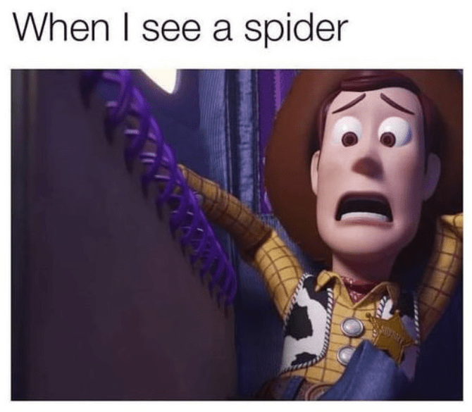 see-spider