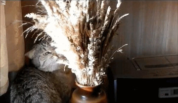 enjoying-some-salad-in-the-sun