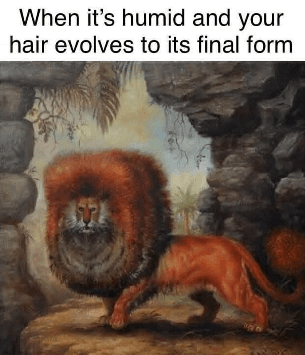 s-humid-and-hair-evolves-its-final-form