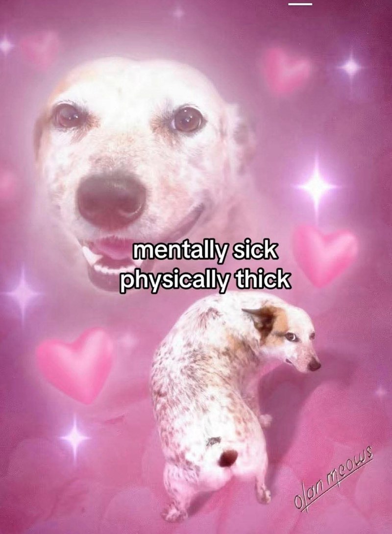mentally-sick-physically-thick-olan-meows