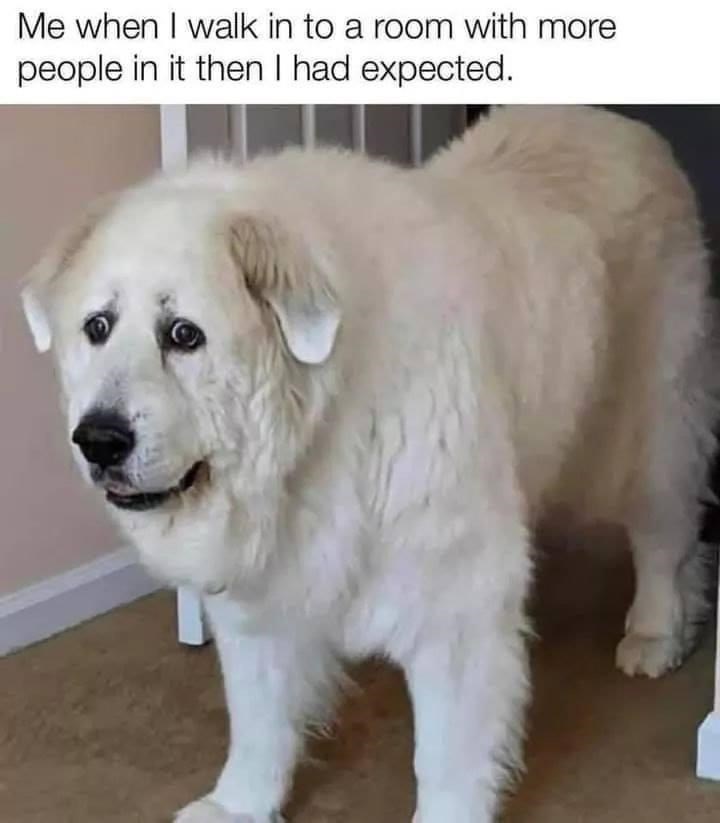 walk-room-with-more-people-then-had-expected