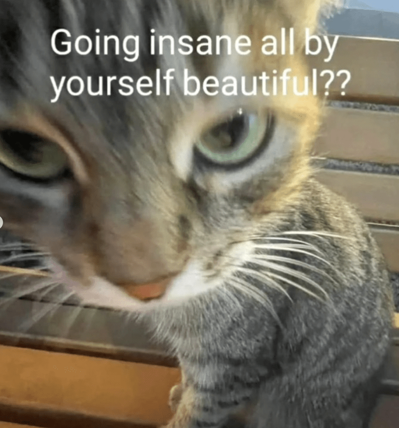 going-insane-all-by-yourself-beautiful