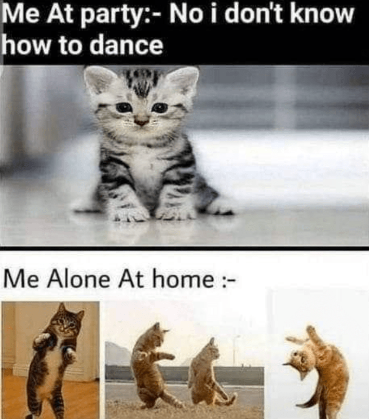 at-party-no-dont-know-dance-alone-at-home