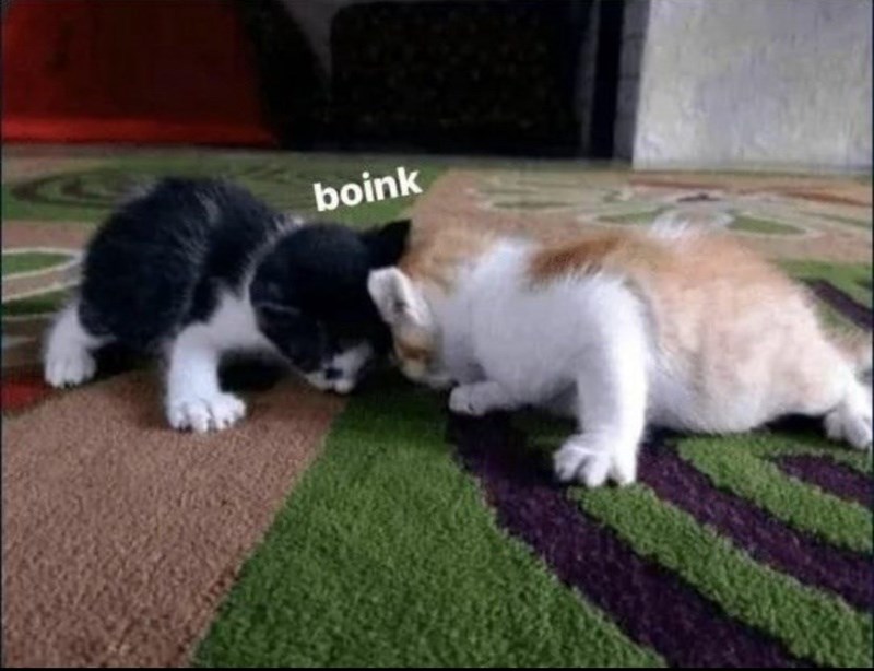 boink