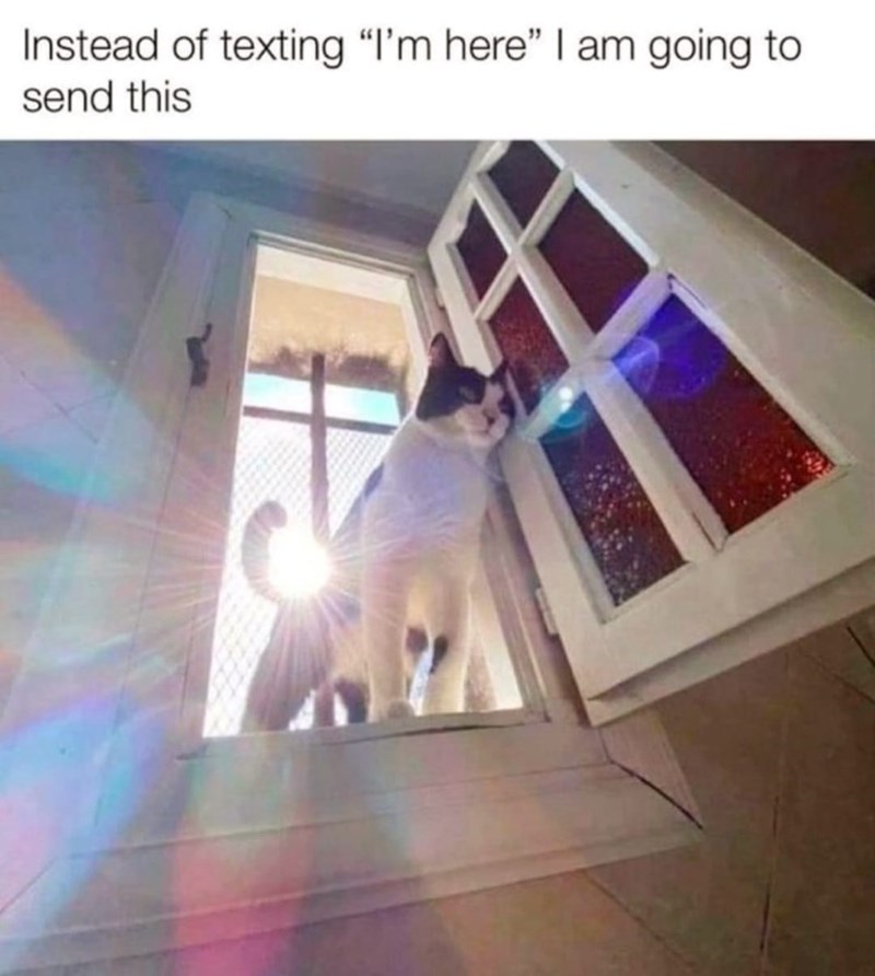 instead-texting-here-am-going-send-this