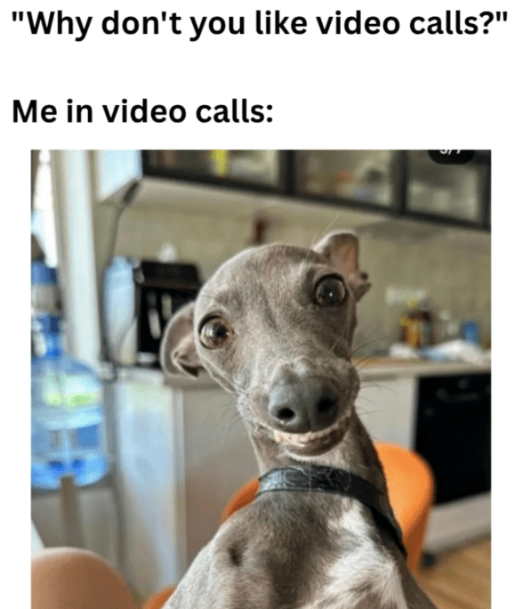 why-dont-like-video-calls-video-calls