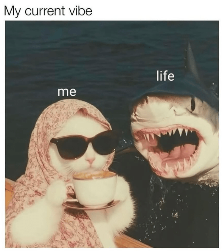 my-current-vibe-life