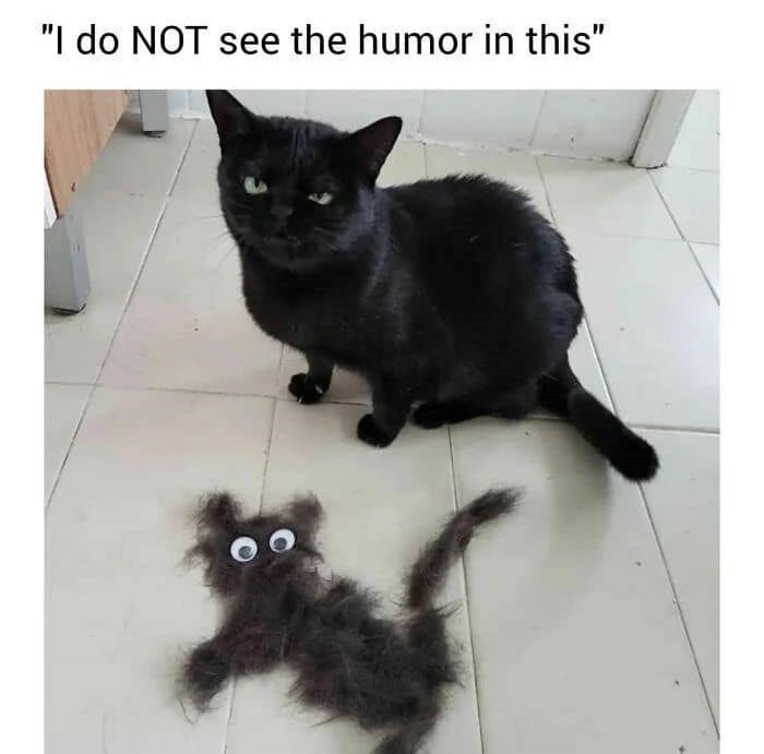 do-not-see-humor-this