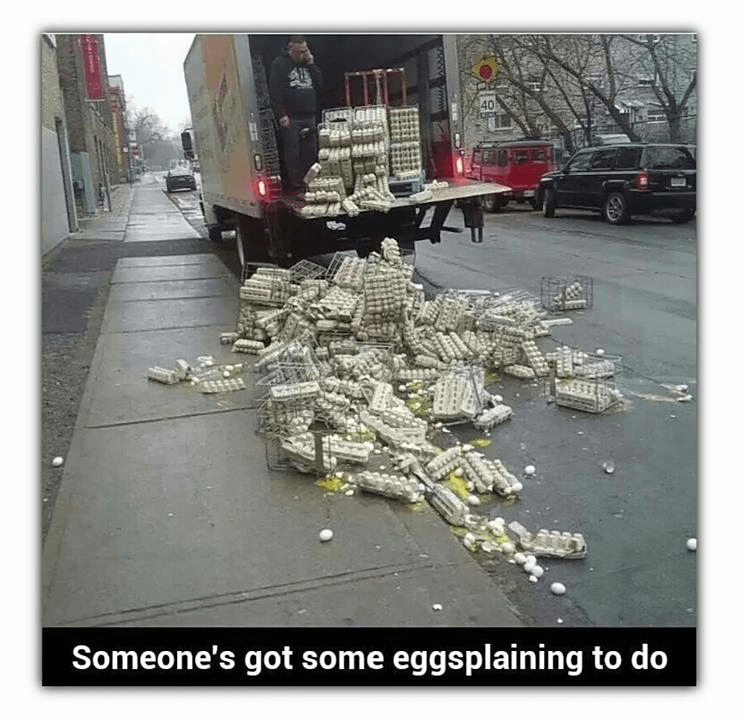www-40-someones-got-some-eggsplaining-do