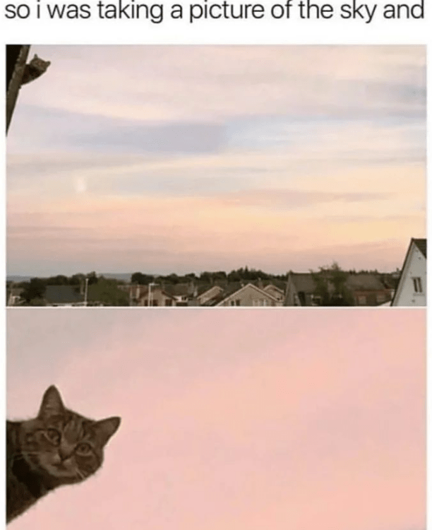so-taking-picture-sky-and