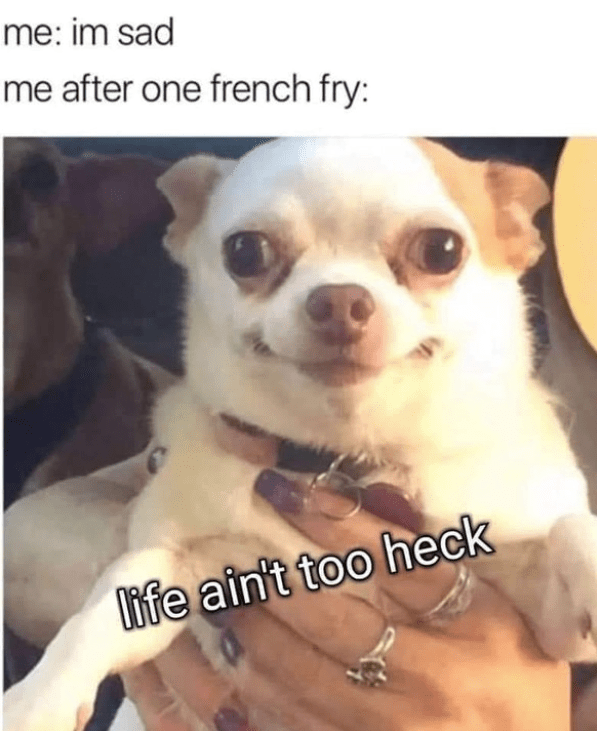 im-sad-after-one-french-fry-life-aint-too-heck
