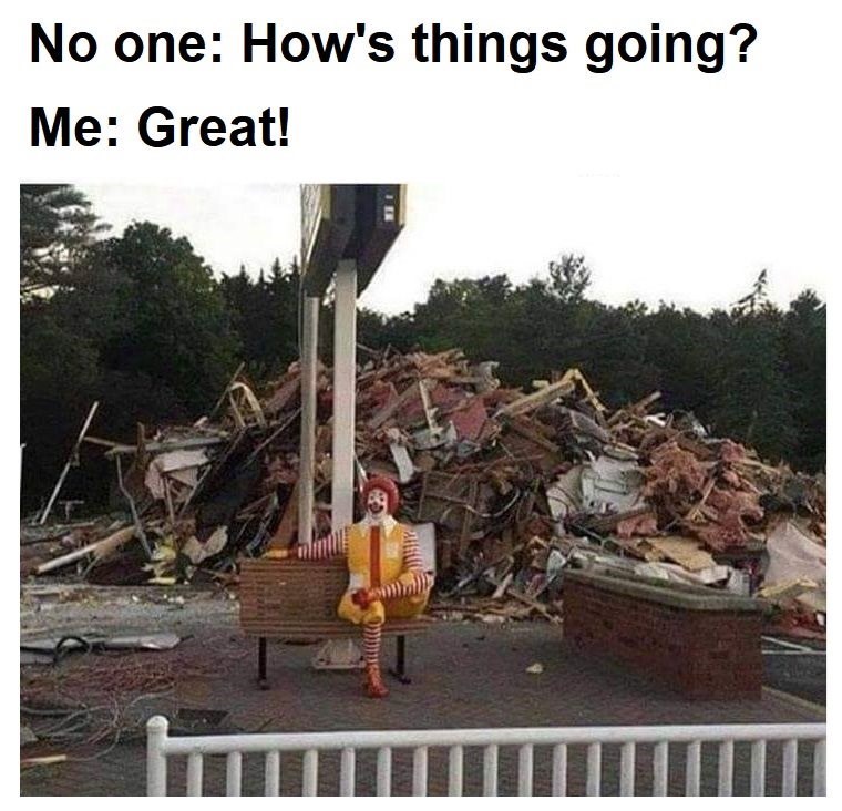 no-one-s-things-going-great