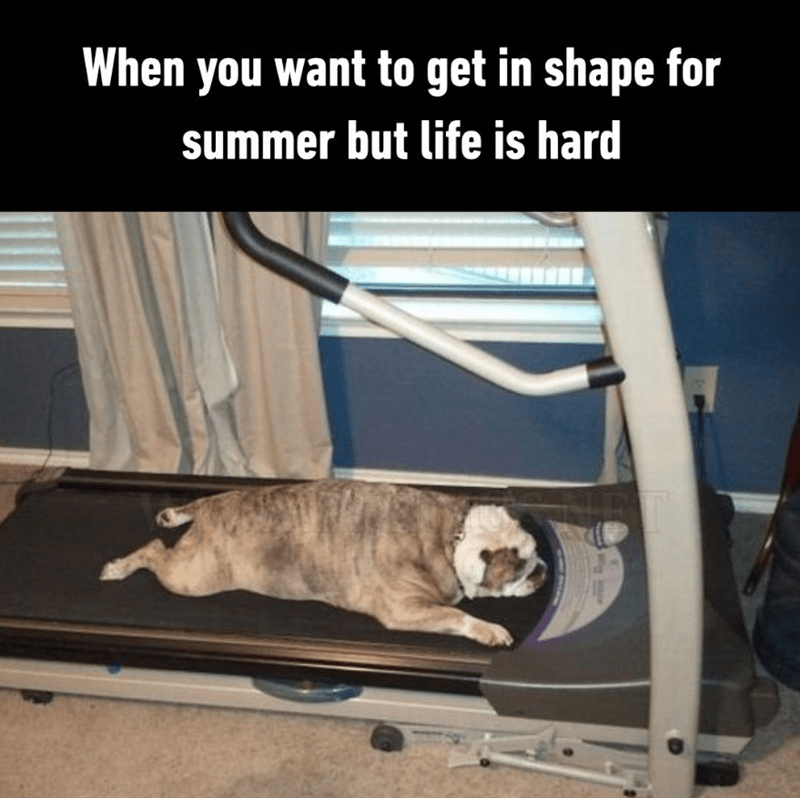 want-get-shape-summer-but-life-is-hard