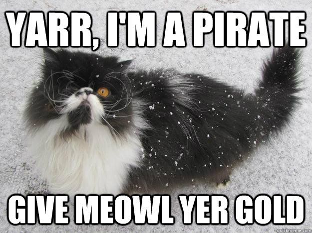 catpirate.jpg
