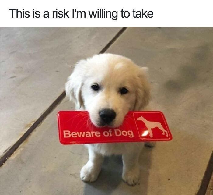 this-is-risk-willing-take-beware-dog