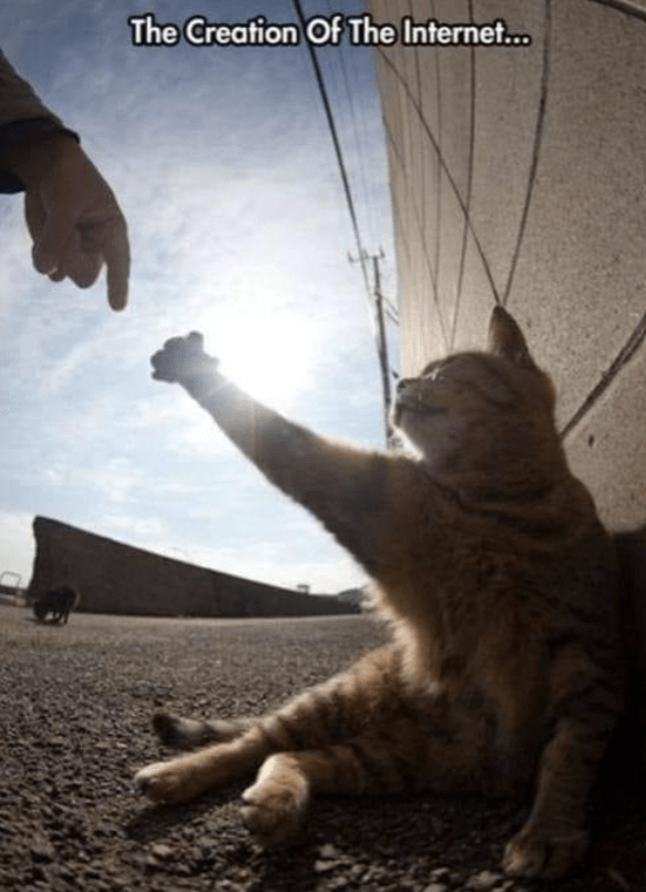 creation-internet