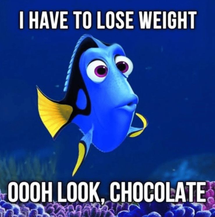 have-lose-weight-000h-look-chocolate