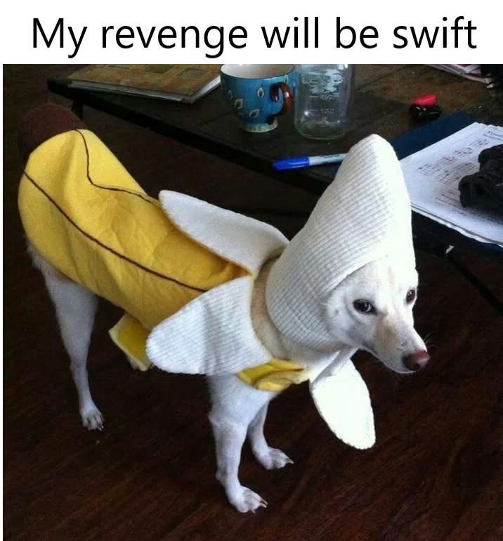 my-revenge-will-be-swift