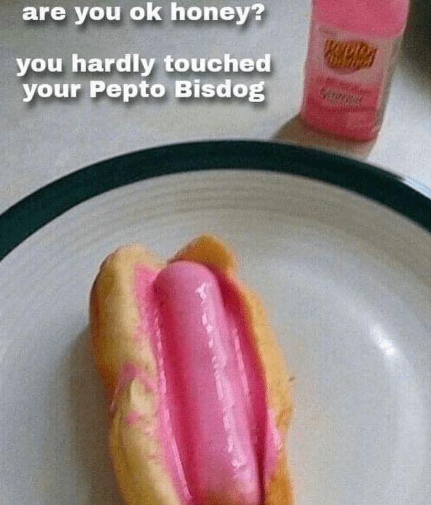 are-ok-honey-hardly-touched-pepto-bisdog