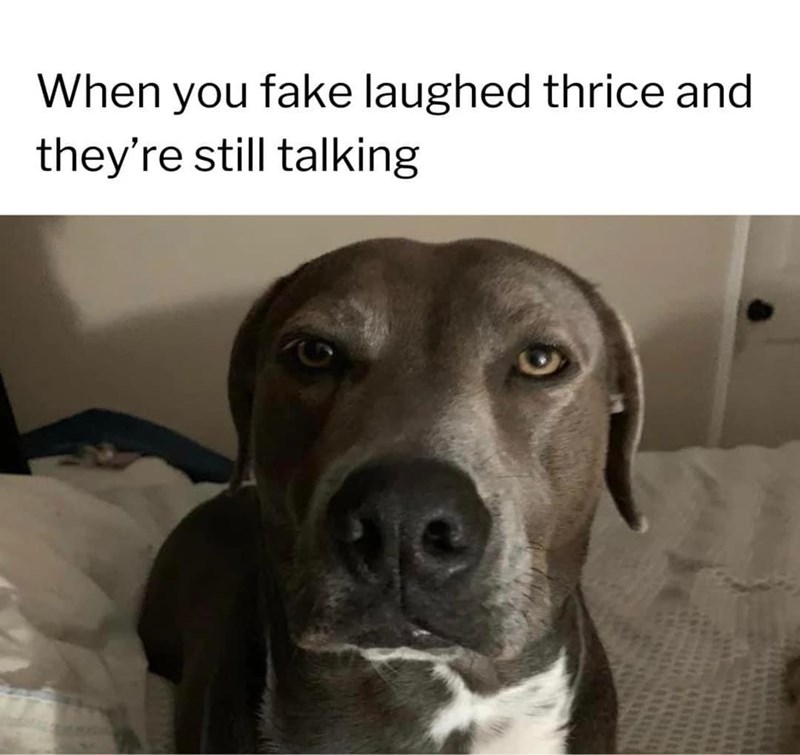 fake-laughed-thrice-and-theyre-still-talking