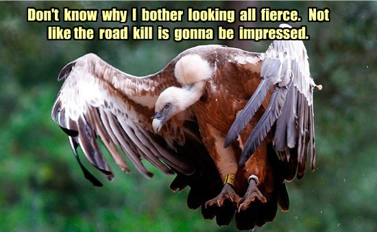 one-must-keep-up-appearances