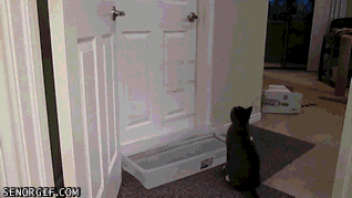 no-door-shall-be-unopened