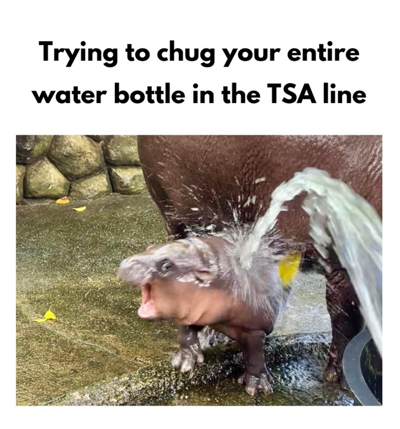 trying-chug-entire-water-bottle-tsa-line