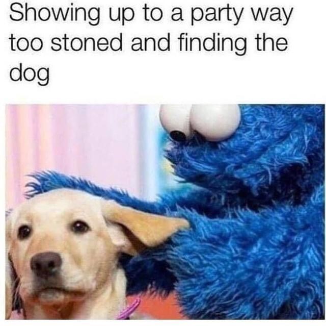 showing-up-party-way-too-stoned-and-finding-dog