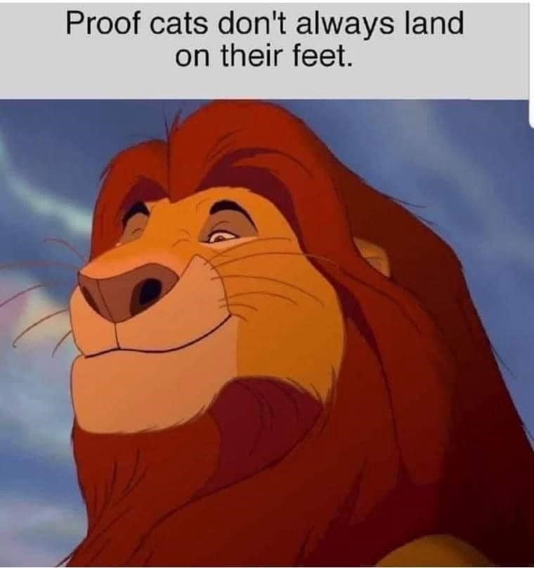 proof-cats-dont-always-land-on-their-feet