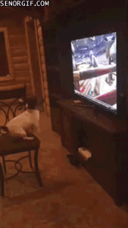 i-wanna-be-a-cowboy-baby