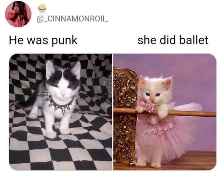 _cinnamonroii_-he-punk-she-did-ballet