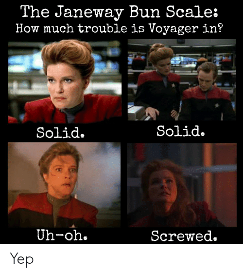 the-janeway-bun-scale-how-much-trouble-is-voyager-in-44606705.png