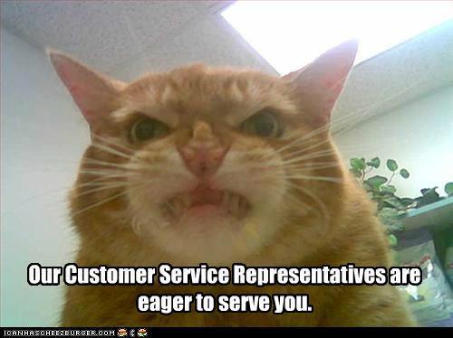 catcustserv.jpg