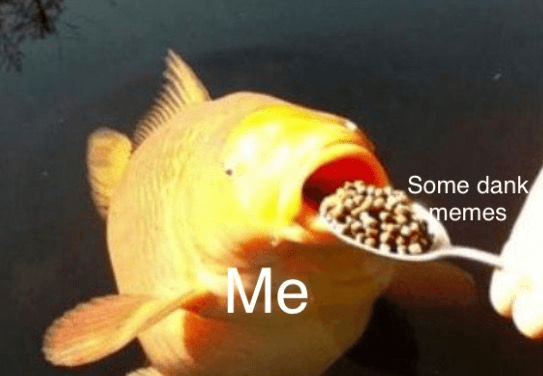 some-dank-memes