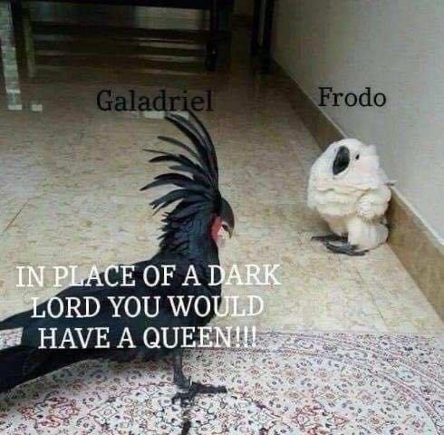 galadriel-frodo-place-dark-lord-would-have-queen