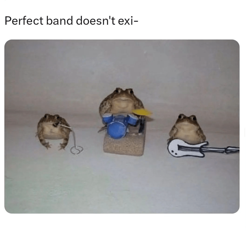 perfect-band-doesnt-exi