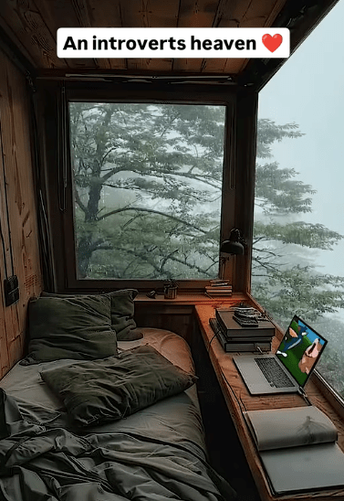 an-introverts-heaven