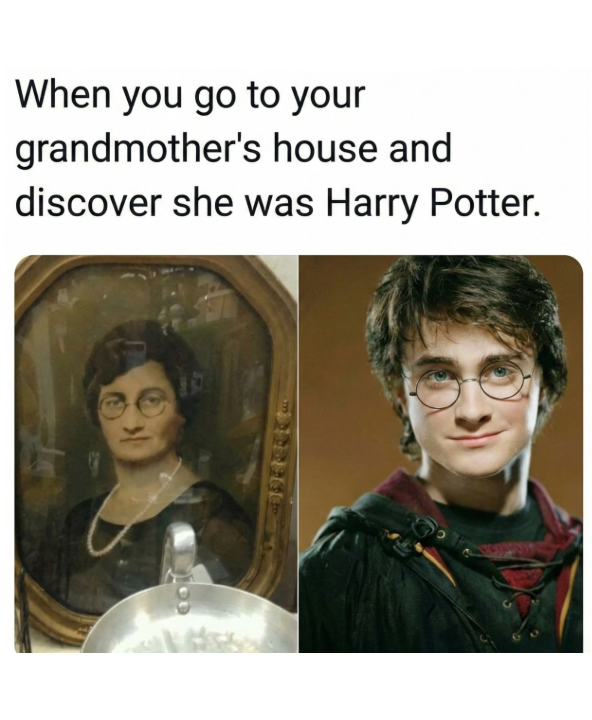 go-grandmothers-house-and-discover-she-harry-potter