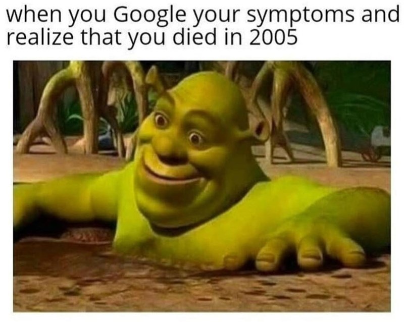 google-symptoms-and-realize-died-2005