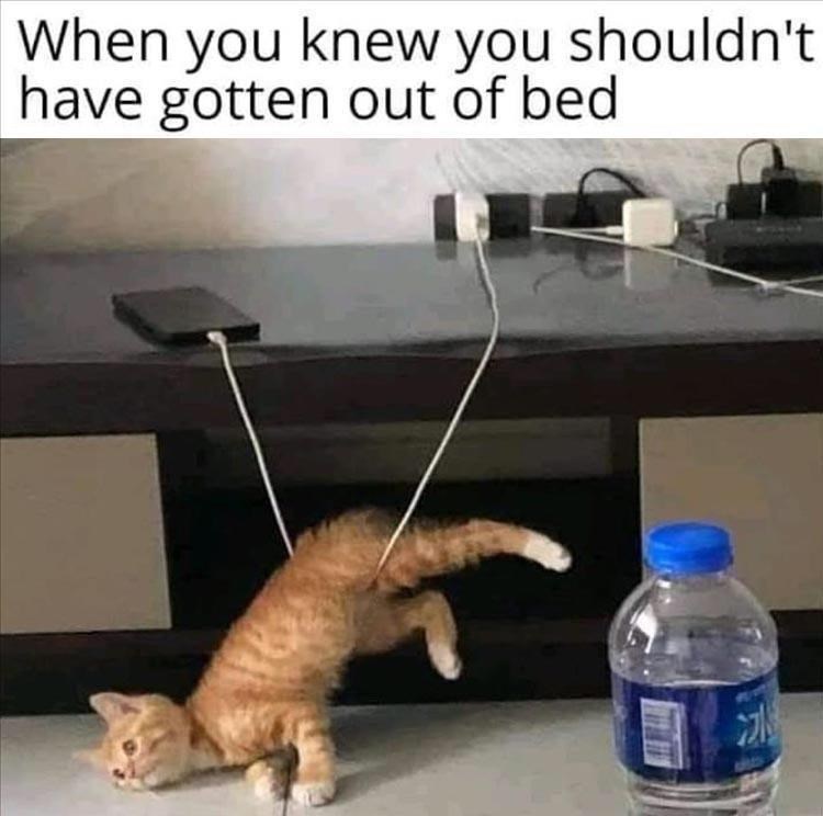 knew-shouldnt-have-gotten-out-bed
