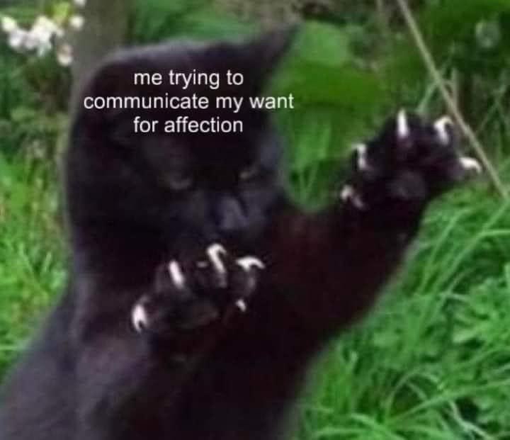 trying-communicate-my-want-affection